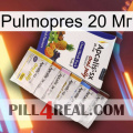 Pulmopres 20 Мг 11